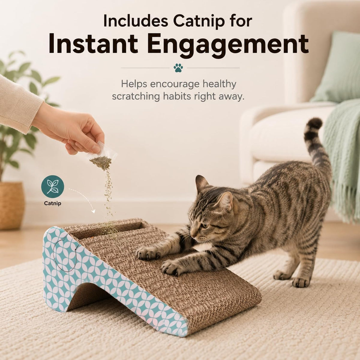 PrimePets Cardboard Cat Scratcher Ramp with Ball, 2 Sizes Cat Scratch Pads