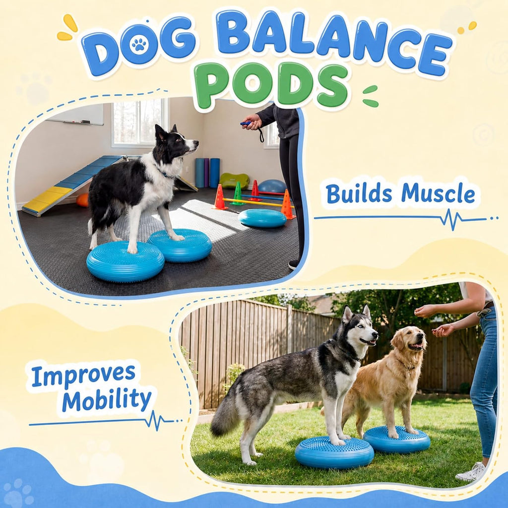 Chalyna 6 Pcs Dog Agility Equipment