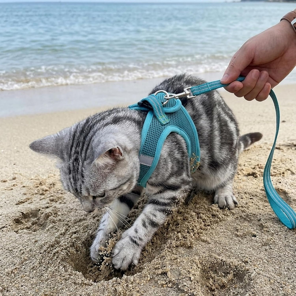 Cat Harness and Leash - Ultra Light Escape Proof Kitten Collar Cat Walking Jacket with Running Cushioning Soft and Comfortable Suitable for Puppies Rabbits