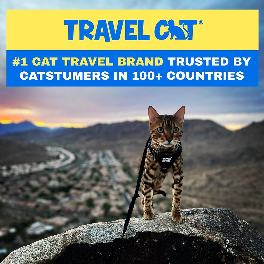 Travel Cat Adjustable 90s Harness and Leash Set + Breakaway Collar for Cats (Blue) - Secure, Escape-Proof Outdoor Walking Kit (Medium)