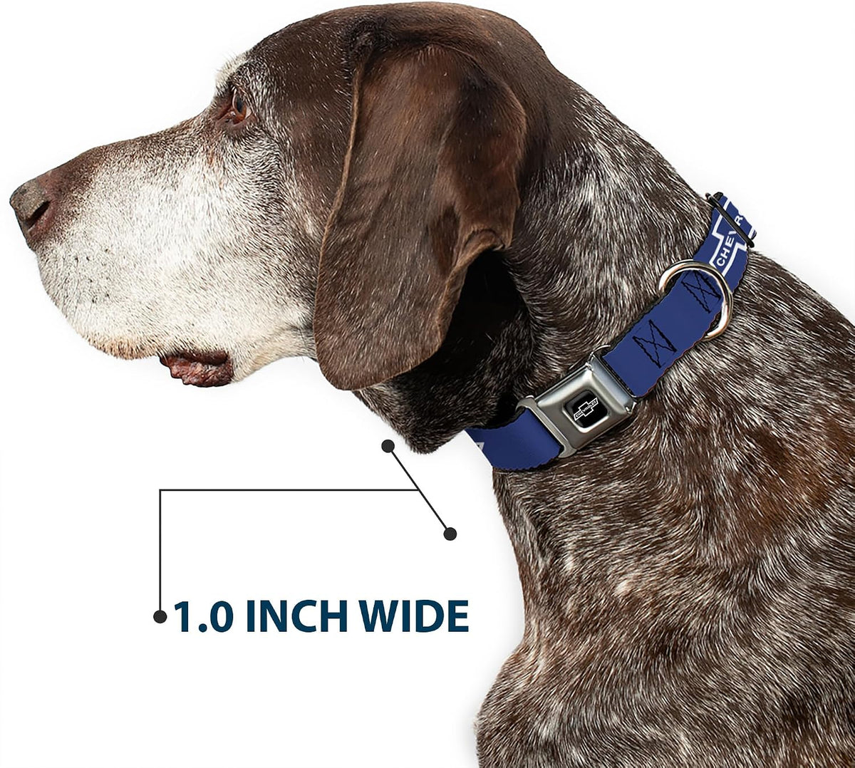 Buckle-Down DC-WCH043-S 9-15" "CHAX-1965 CHEVROLET Bowtie Full Color Black/White" Dog Collar, Small