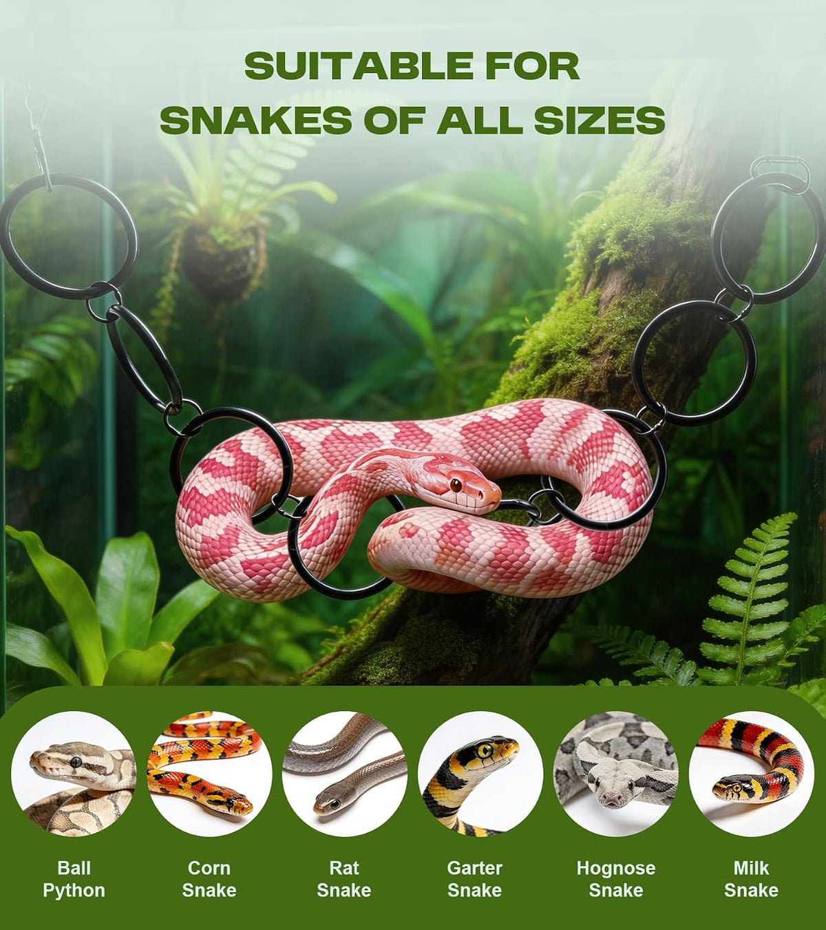 Snake Climbing Accessories,Ball Python Tank Accessories with Educational Toys,DIY Modular Tank,Suitable for Corn Snakes,Ball Pythons,Lizards,Chameleons and Parrots