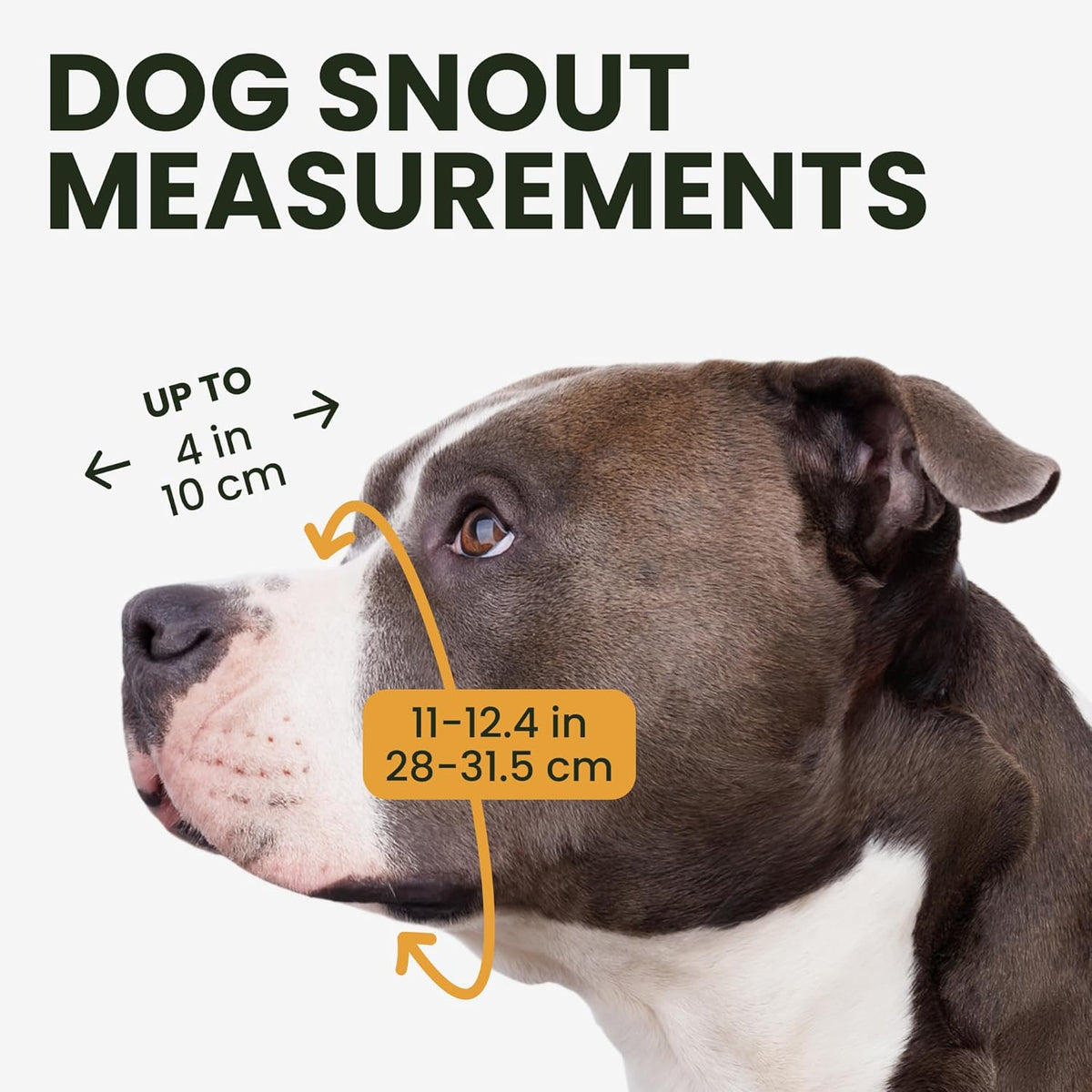BRONZEDOG Pitbull Wire Basket Muzzle for Amstaff, Large Dogs (Steel)