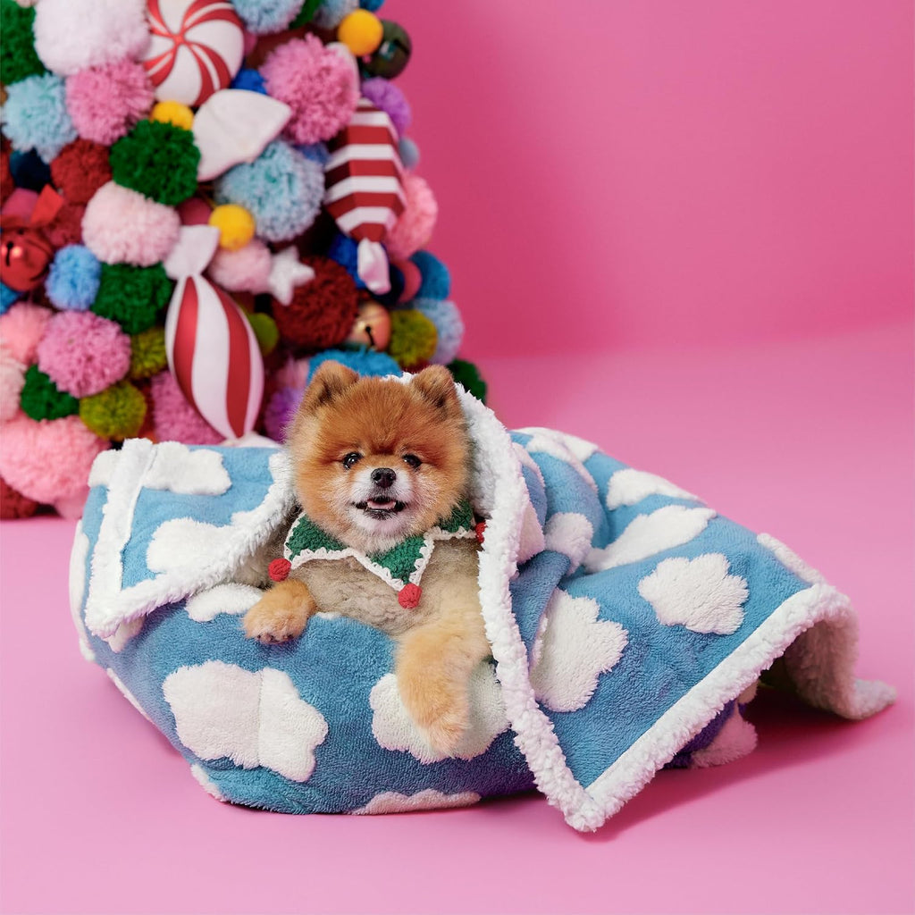LE SURE Waterproof Dog Blankets for Small Dogs Cute Cozy 3D Jacquard,25x35