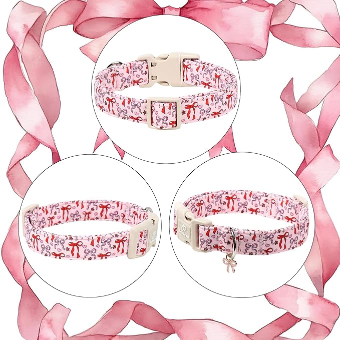 Girl Dog Collar for Small Dogs - Image 6