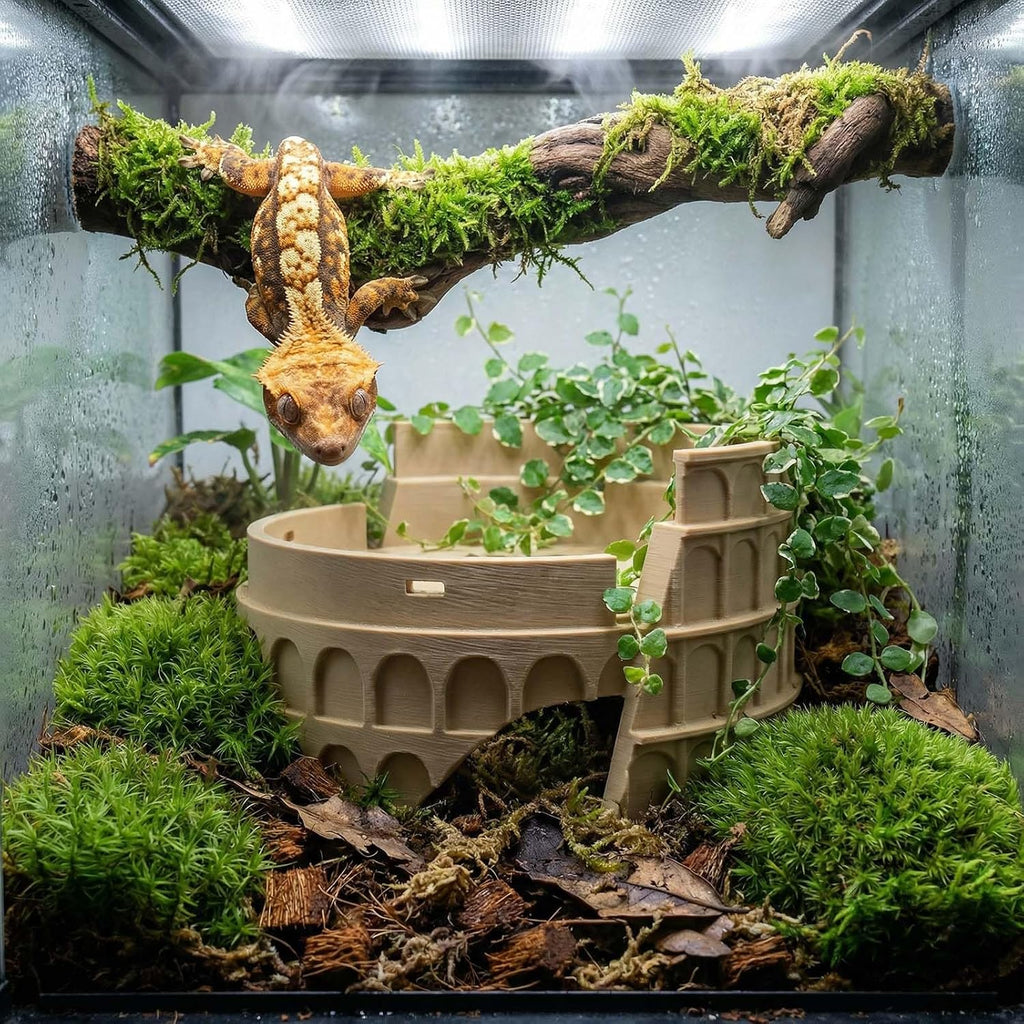 Reptile Basking Platform and Habitat Decor Lizard Hideout Cave and Climbing Ramp 3D Printed Roman Colosseum for Leopard Gecko, Bearded Dragon, and Small Amphibians