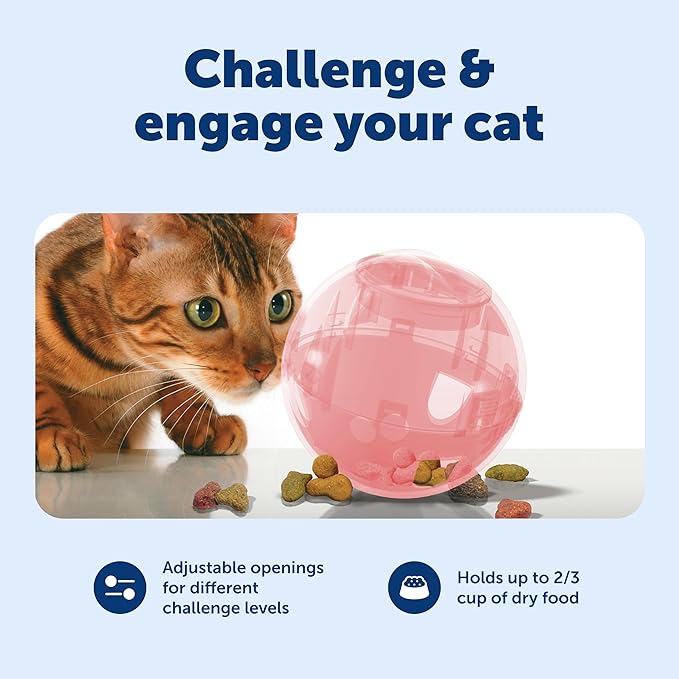 PetSafe SlimCat Interactive Feeder - Image 4