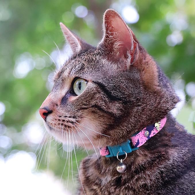 Kittyrama Botanicals Fern Kitten Collar. Award Winning. Hypoallergenic - Image 4