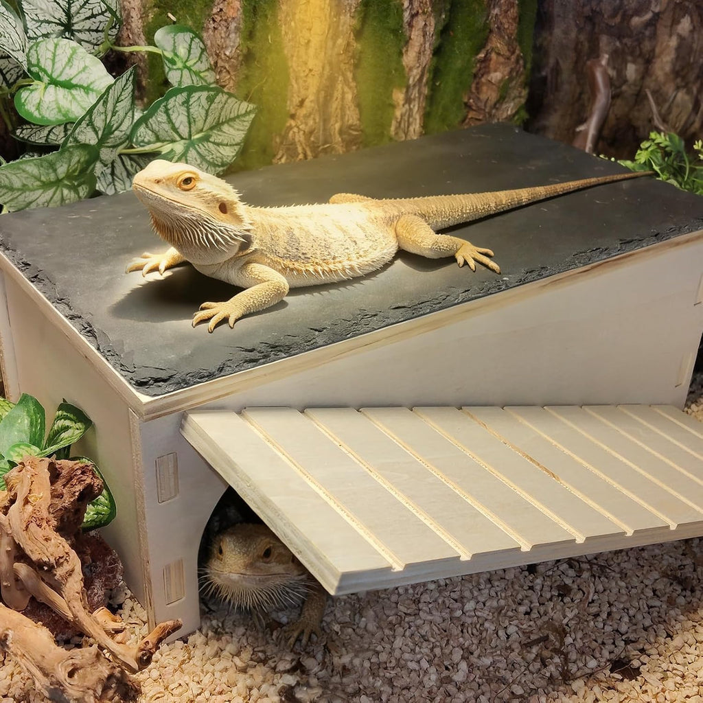 Bearded Dragon Basking Platform,Wood Reptile Hide Cave with Slate Rock,L