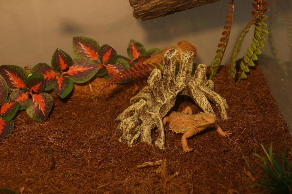 AQUA KT Reptile Dinosaur Skull Rock Skeleton Hideout for Gecko Lizard Hide