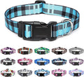 Mercano Adjustable Dog Collar by Unknown