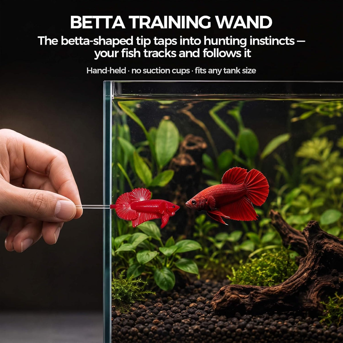Betta Exercise Kit, Betta Fish Toys, 2 Training Wands and Mirror