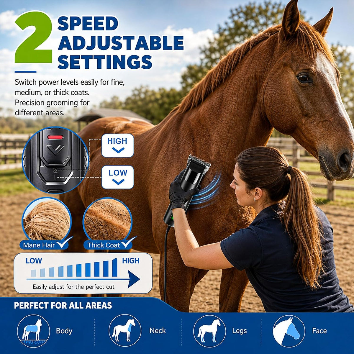 Professional Horse Clippers with Detachable Wide Blade