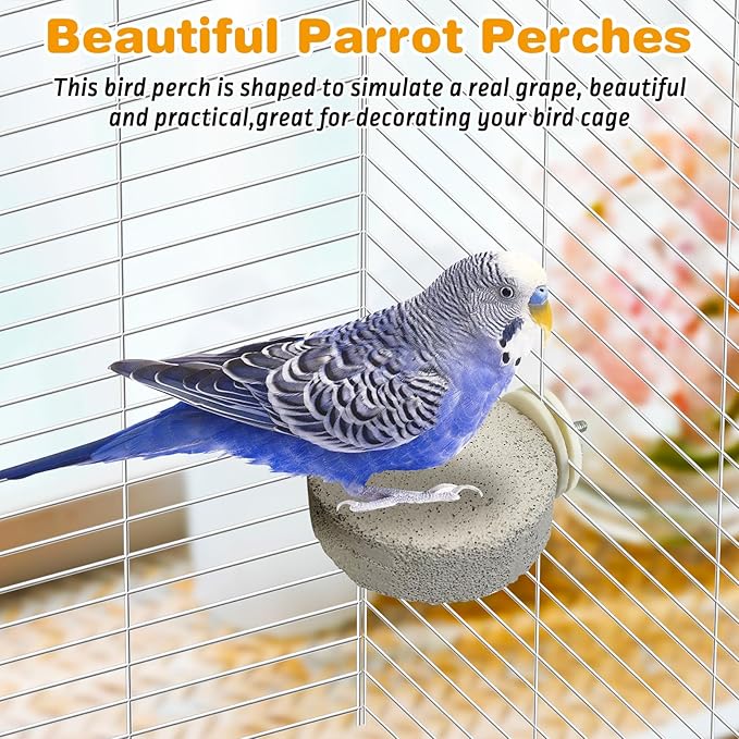 PINVNBY 6 PCS Bird Perch Parrot Beak Grinding Stone Calcium Mineral Parrot - Image 7