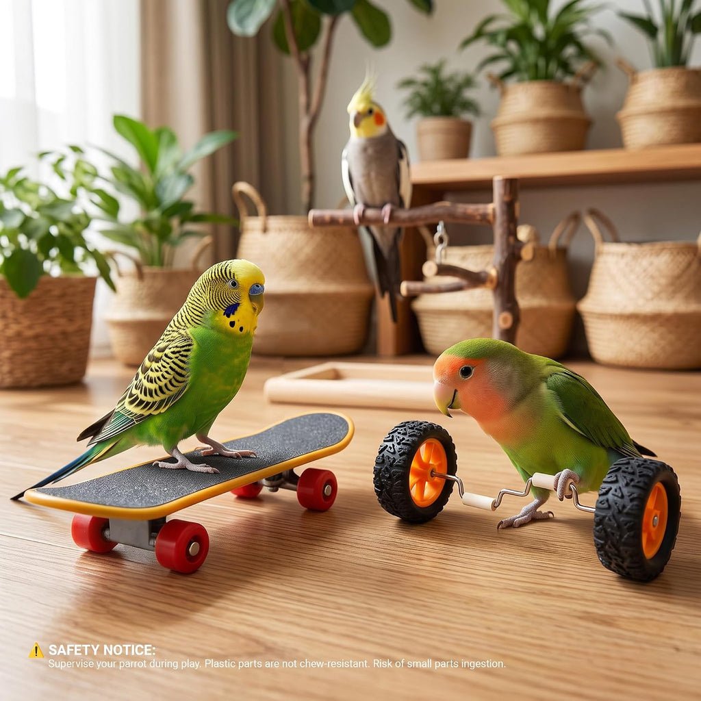 Parrot Training Toys Set 3 Pack Progressive Trick Skateboard Props