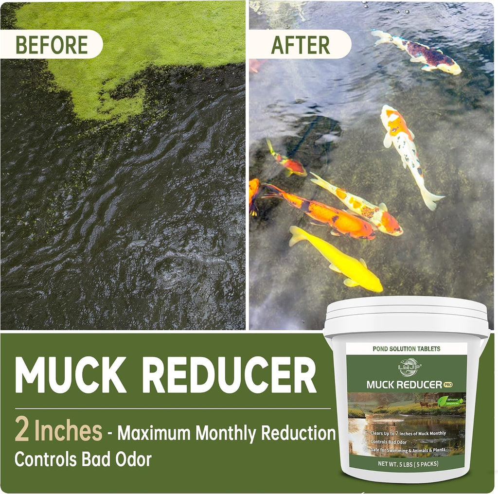 LMJP Muck Reducer for Ponds, Sludge Solution, Away Muck & Odor Control, 5LB