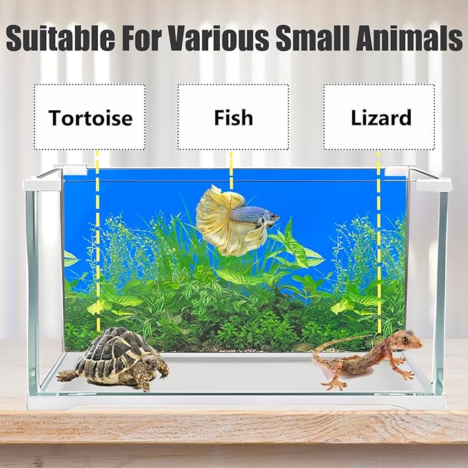 Fish Backgrounds Paper Double Sides Undersea Aquarium Background Poster - Image 4
