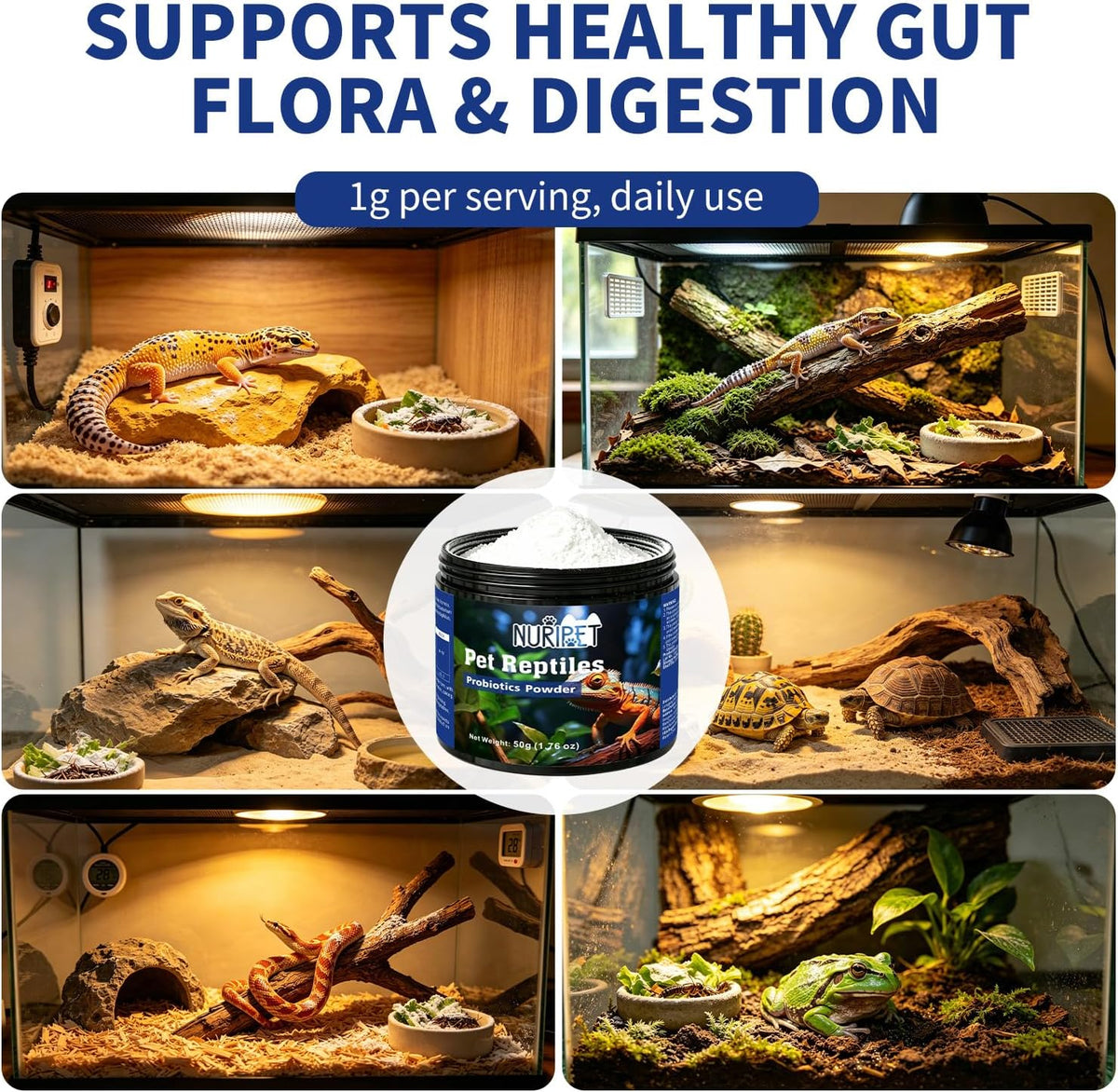 Reptile Probiotic 50g, Gut Support for Bearded Dragon & Tortoise
