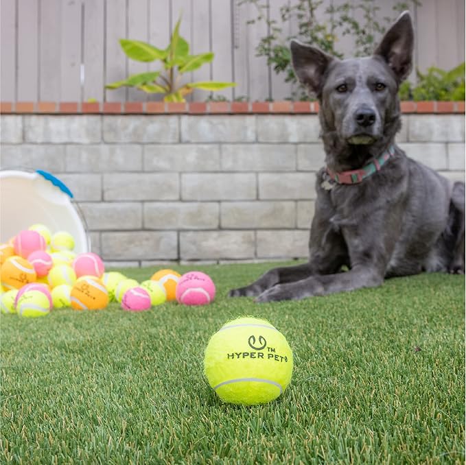 Hyper Pet Tennis Balls for Dogs - Image 5