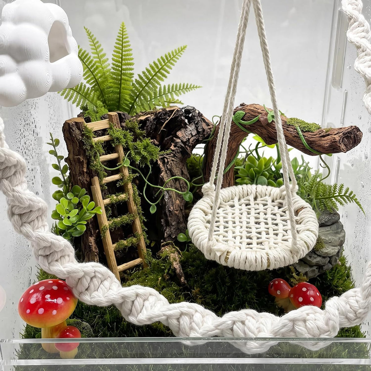 Jumping Spider Enclosure Accessories Kit, Spider Hides, 5 PCS