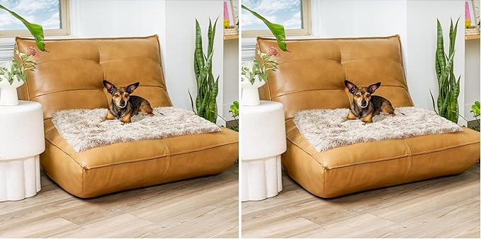 Furhaven Waterproof Throw Blanket by FurHaven