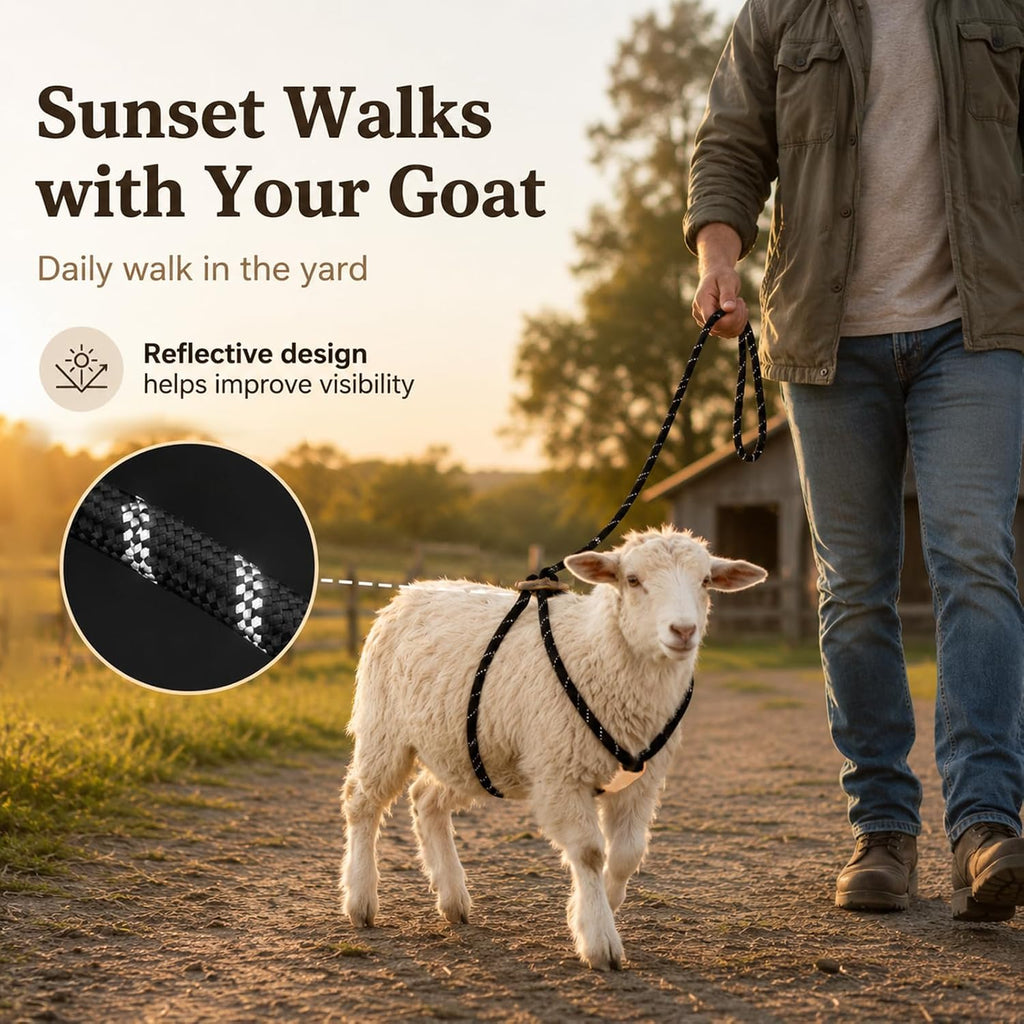 Goat Harness Leash for Mini Goat, Mini Pig
