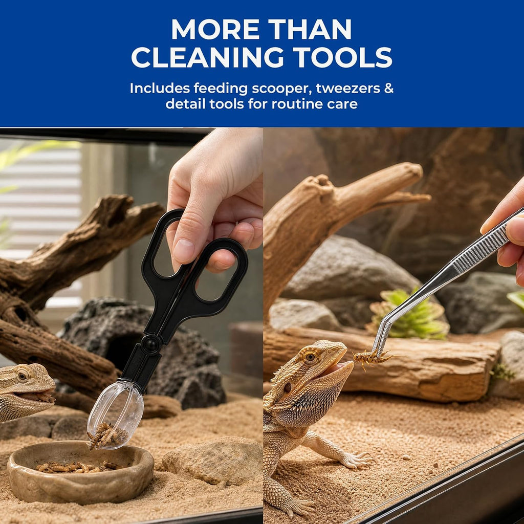 Bearded Dragon Tank Cleaning Kit, Reptile Mini Dustpan and Brush