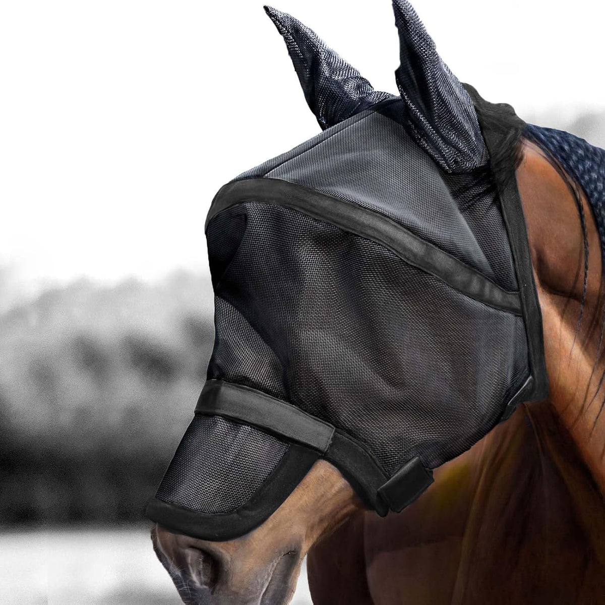 Harrison Howard Maskology Supreme Nylon Framework Micro-Woven Material UV-Proof Horse Fly Mask Black Purple (Cob)