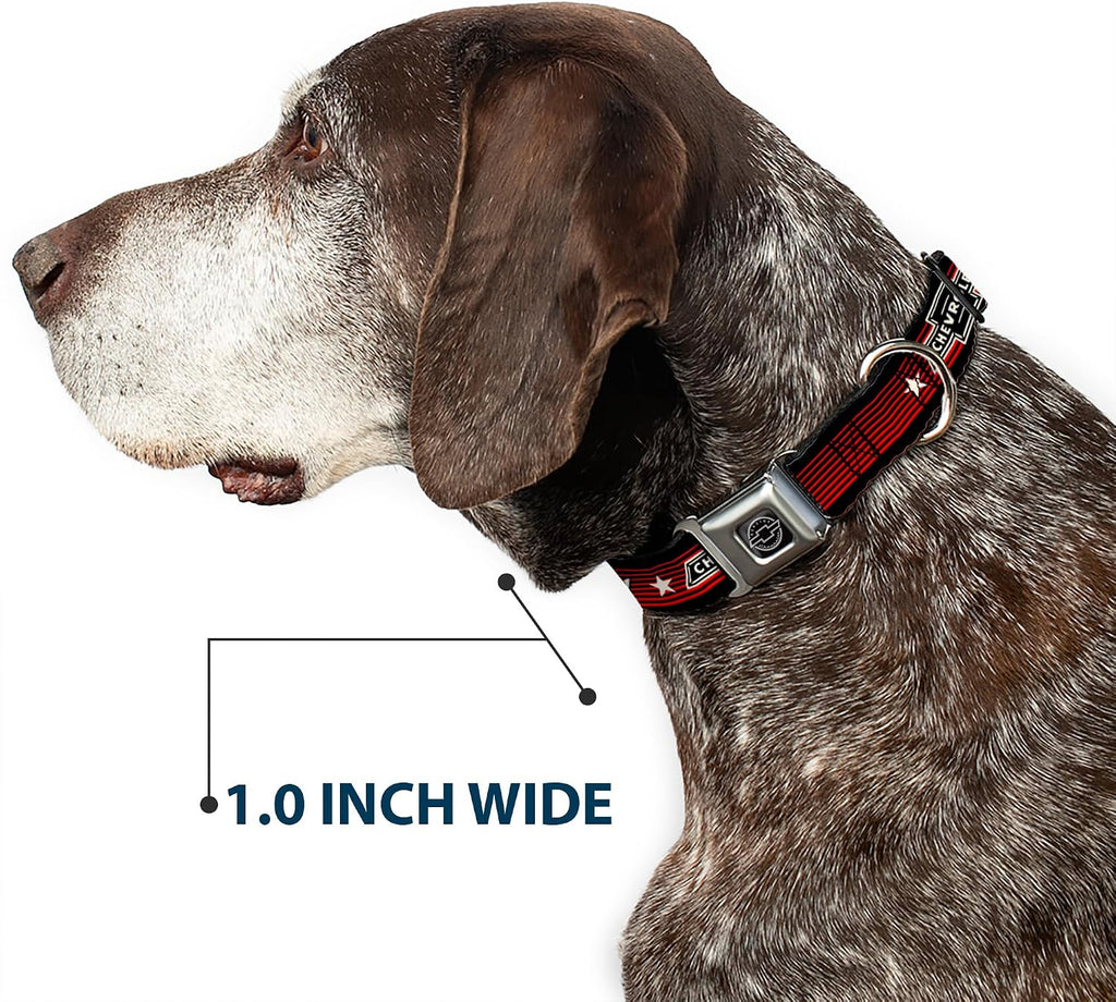GM General Motors Easy Adjustable Metal Seatbelt Buckle Quick Release Dog Collar, Chevrolet Bowtie Since 1911, 15 to 24 Inches 1.0 Inch Wide