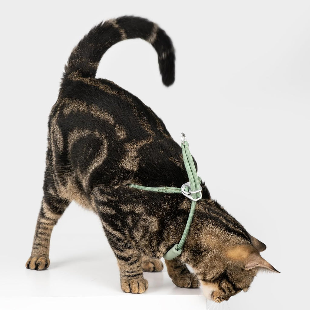 Escape Proof Y Shape Cat Harness Anti-Choke (Olive, S)