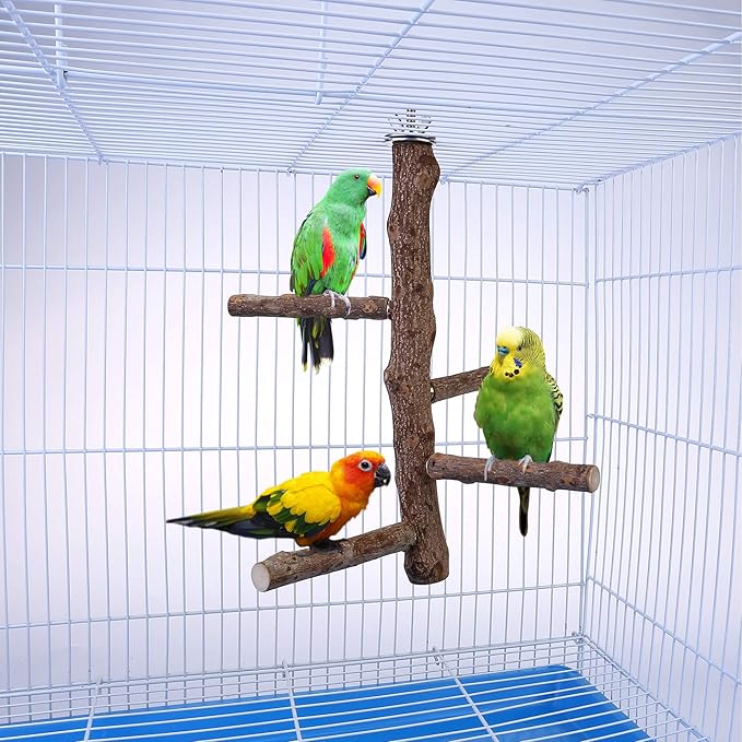 Bird Perch Stand Toy, Natural Wood Parrot Perch Bird Cage Branch Perch - Image 3