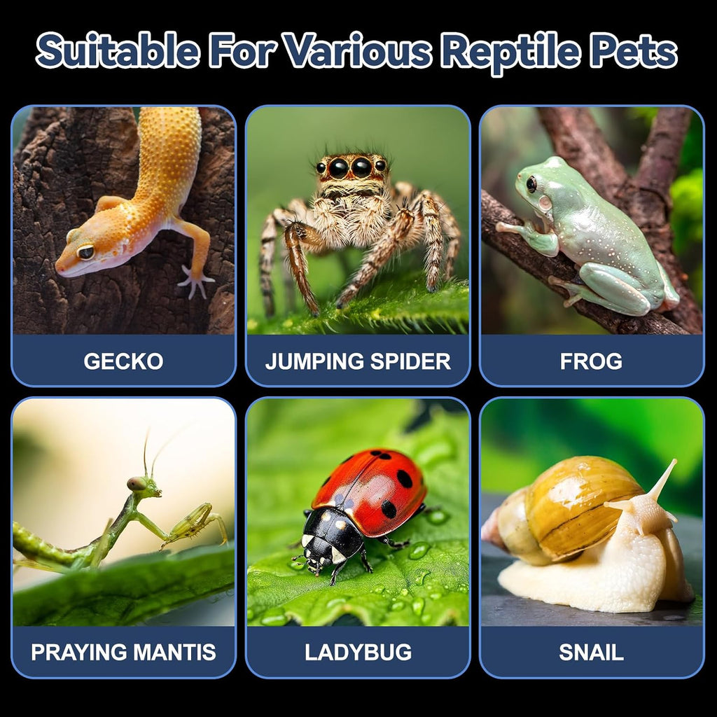 Jumping Spider Enclosure,Acrylic Terrarium for Small Insects & Reptiles