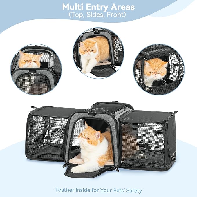 Petsfit 17" x 11" x 11" Airline-Approved Expandable Pet Carrier, 2X Square - Image 8
