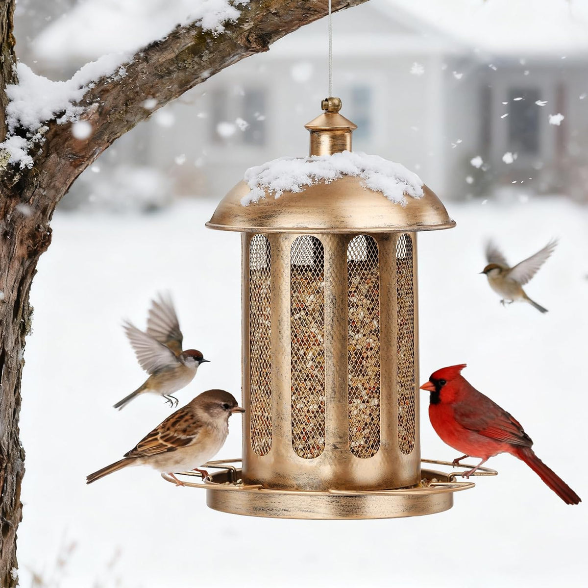 Bird Feeder, 4LB Large Capacity Bird Feeders for Outdoor Hanging