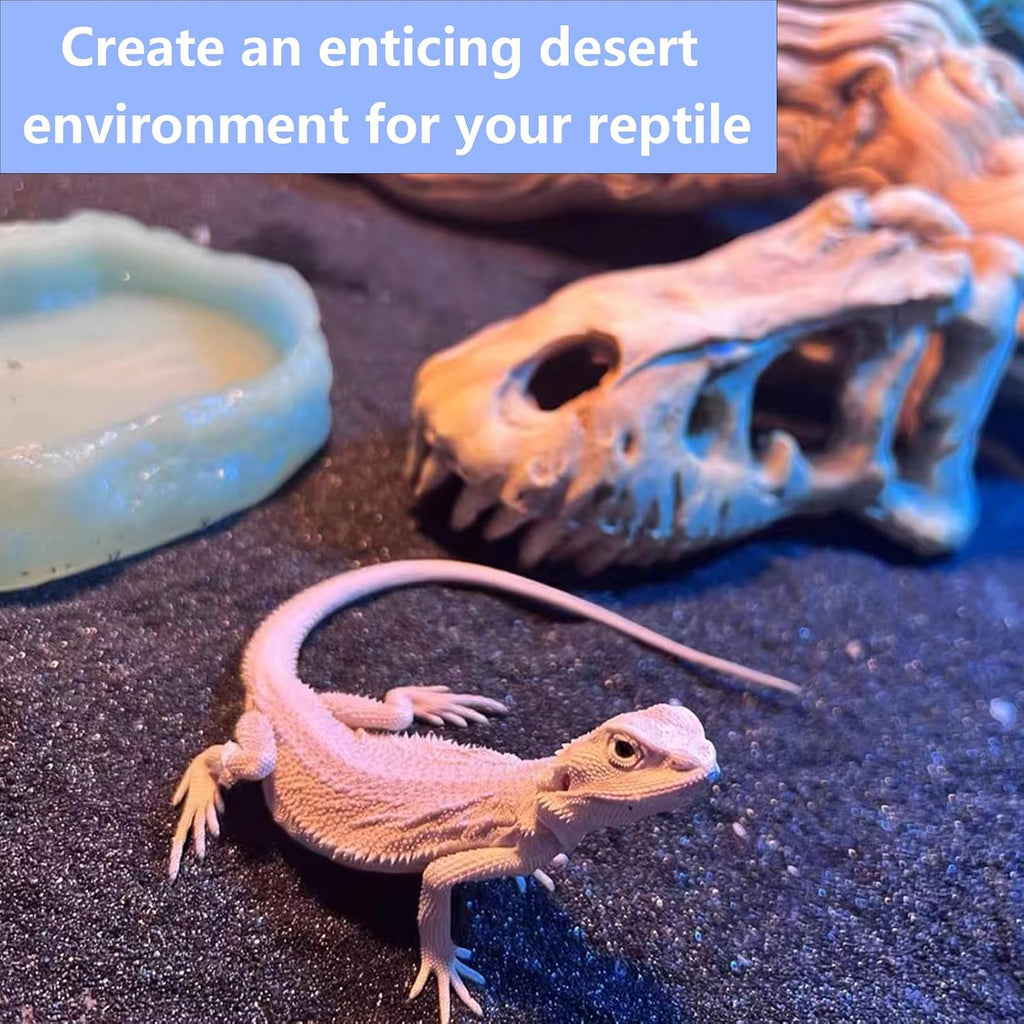 BNOSDM Reptile Sand,2.2lb Bearded Dragons Sands Substrate Bedding,Lizard Black Desert Blend Sands for Snakes Geckos Tortoises Turtle Tarantula Hermit Crab Scorpion Invertebrates