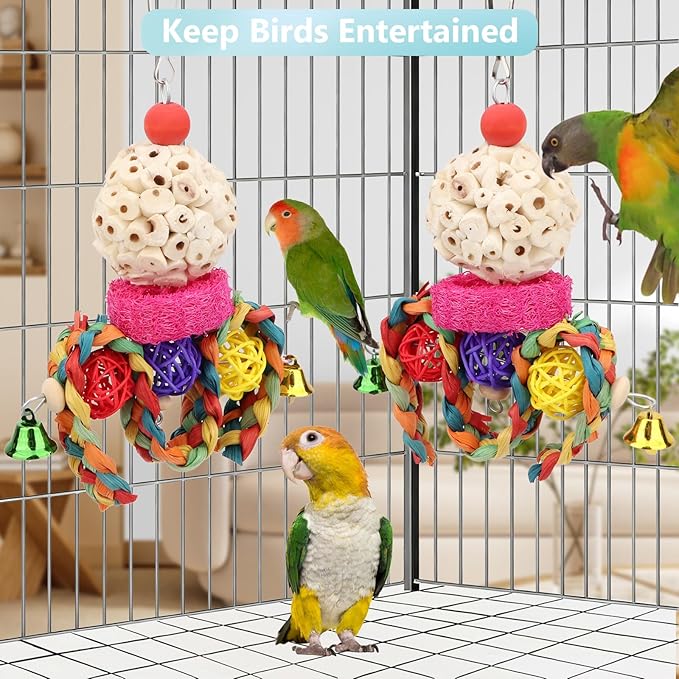 Wontee Bird Toys 3 Pack Parrot Foraging Hanging Toys Sola Ball Natural Nuts - Image 4