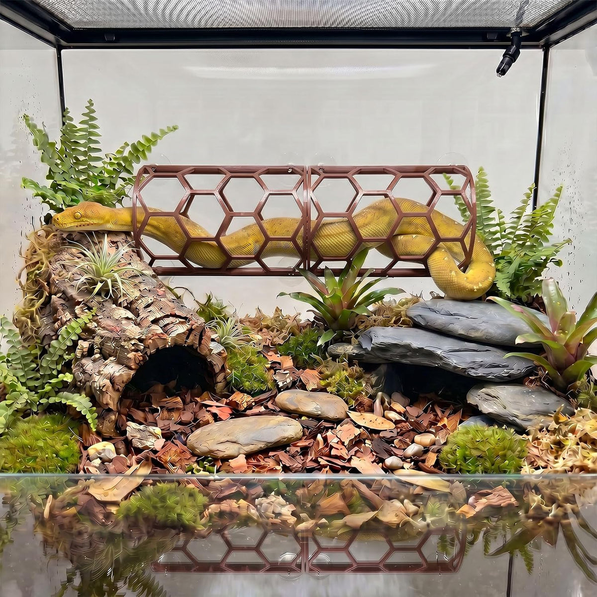 Reptile Honeycomb Climbing Shelf, Suction Cup Snake Hide & Rest Platform, Terrarium Wall Climbing Decor for Ball Python, Corn Snake, Gecko, Bearded Dragon & Lizard (Brown)