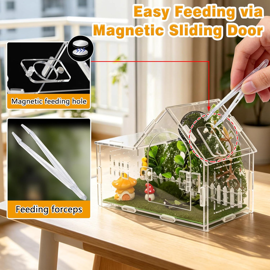 Acrylic Jumping Spider Enclosure Kit 19PCS with Decor