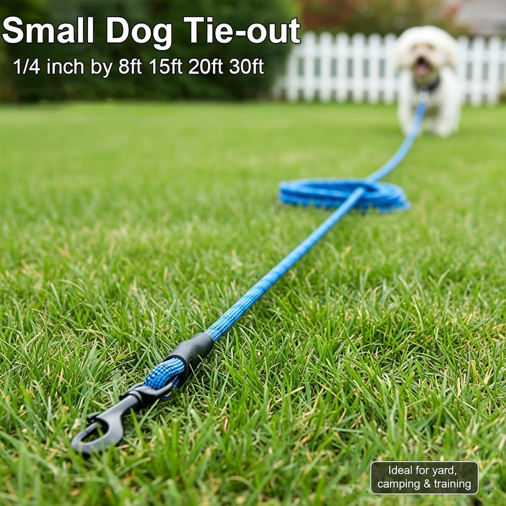 20ft Tie Out for 2 Dogs + 1/4" x 8ft Small Tether