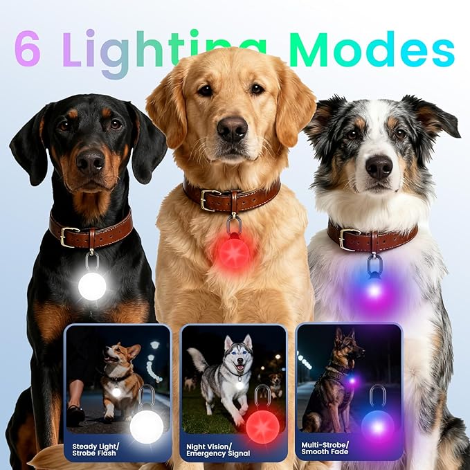 2-in-1 GPS Tracker Dog Light | Smart Tracking Pet LED Light - Image 4