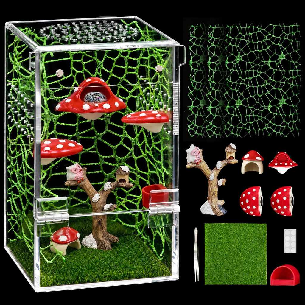 AZV Jumping Spider Enclosure Kit,Pre-Assembled 5 x 5 x 8 in Acrylic Habitat