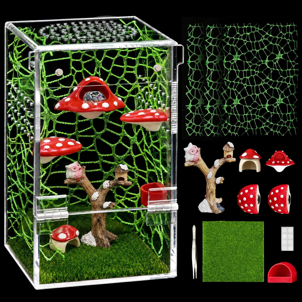 AZV Jumping Spider Enclosure Kit,Pre-Assembled 5 x 5 x 8 in Acrylic Habitat
