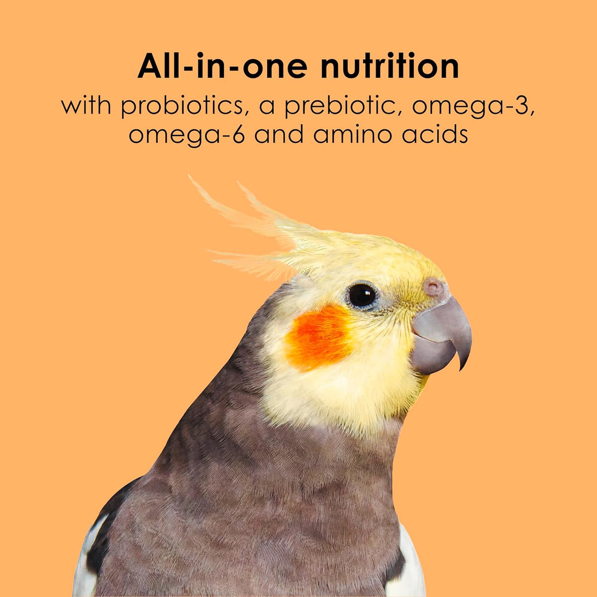 Kaytee NutriDelight Pet Bird Food, for Parakeets & Cockatiels, Balanced Nutrition with Soft Texture, 2 Pounds