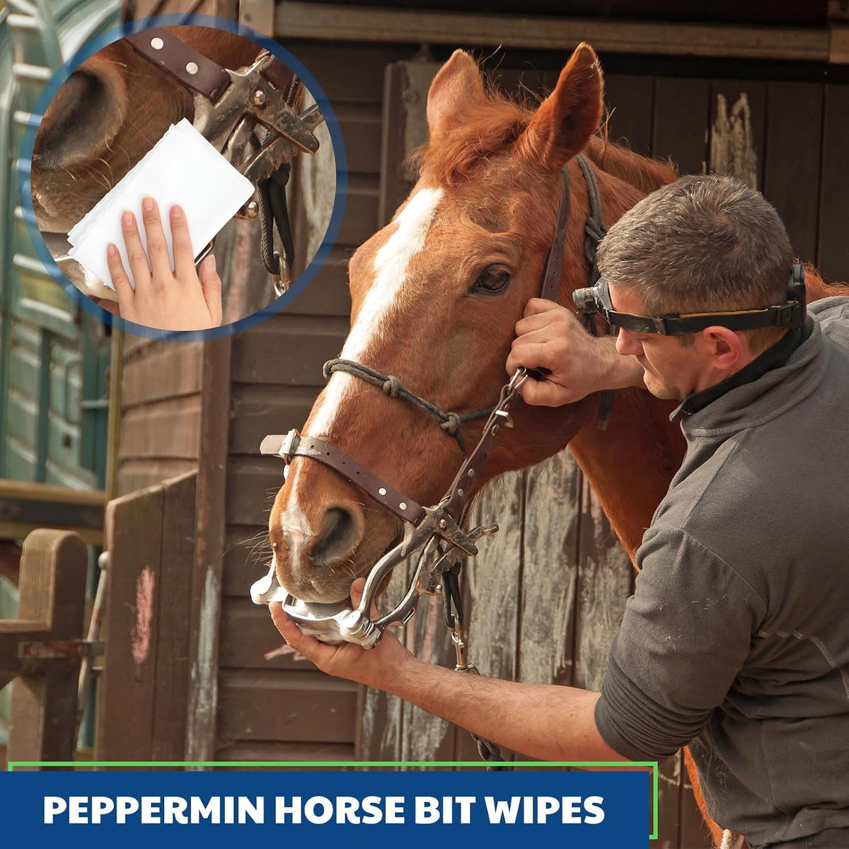 Threlaco 3 Pack Horse Bit Wipes, Peppermint Horse Bit Cleaners