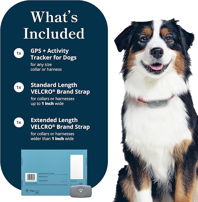 Petivity Smart GPS and Activity Pet Tracker - Image 9