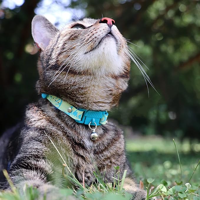 Kittyrama Botanicals Jungle Kitten Collar. Award Winning. Hypoallergenic - Image 4