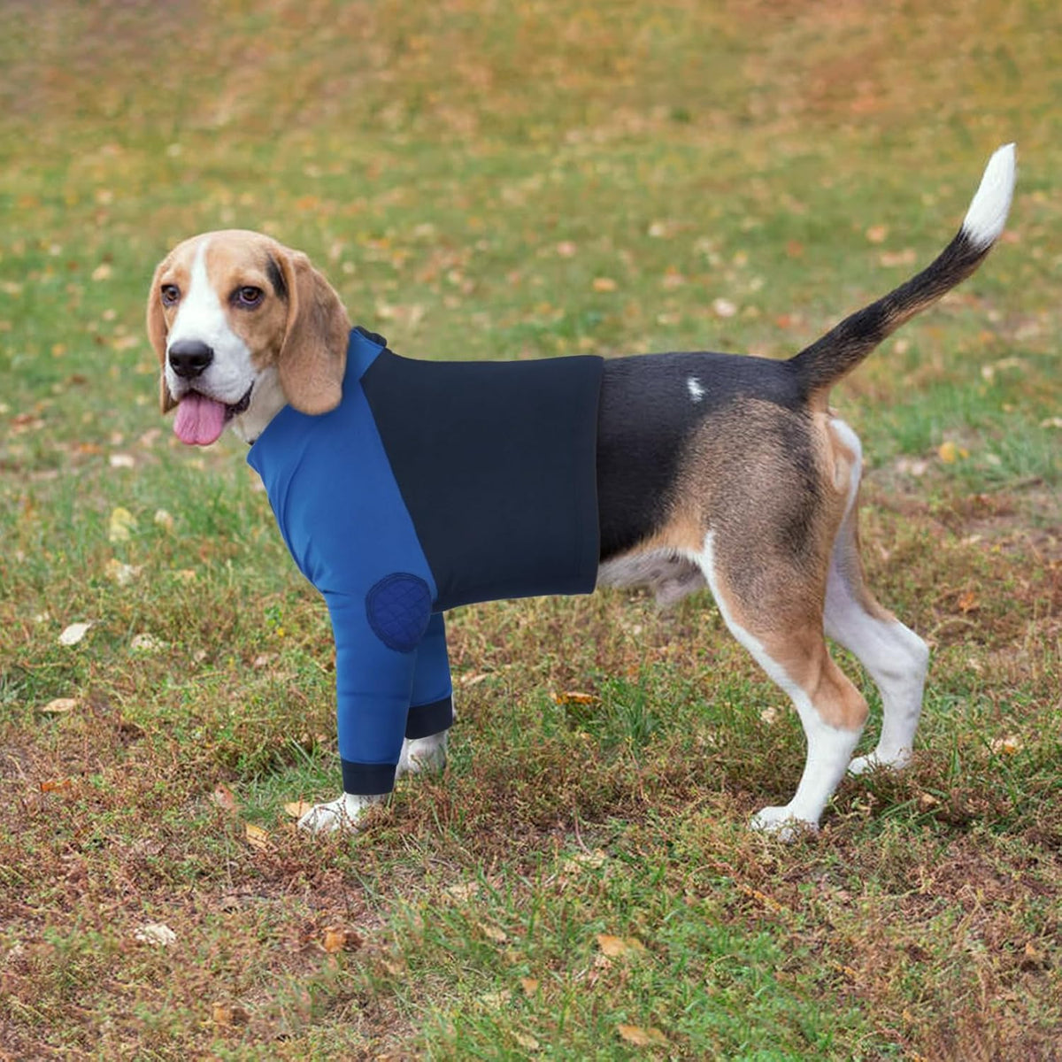 Lelepet Dog Recovery Suit for Front Legs, Dog Sleeve to Stop Licking Blue