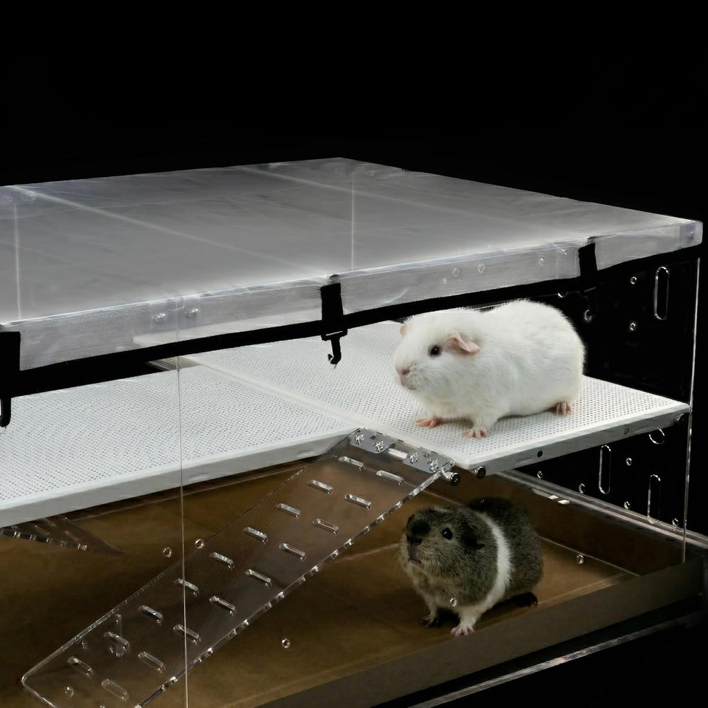 GuineaLoft™ Model-A3Loft 2-Level Acrylic Guinea Pig Cage w/Loft
