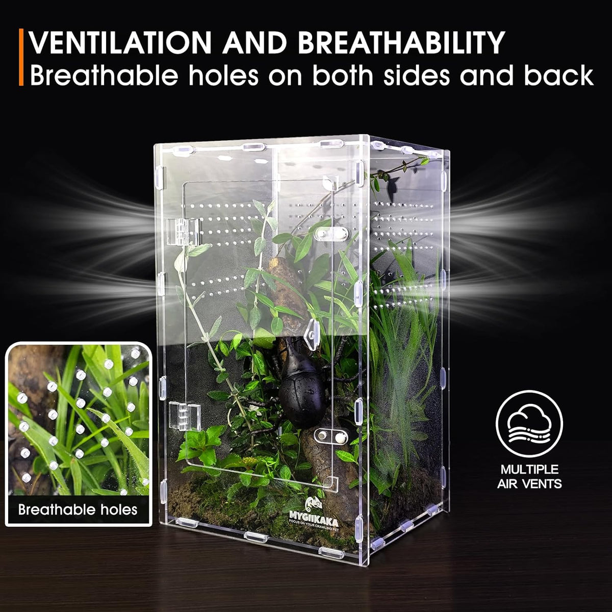 Acrylic Jumping Spider Enclosure - Insect Terrarium for Spiders, Mantises, Tarantulas & Frogs