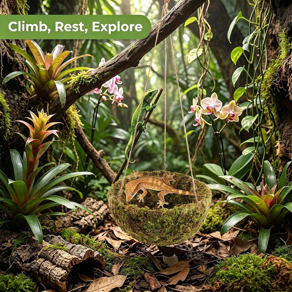 Handmade Crested Gecko Tank Accessories, Hanging Moss Reptile Hideout